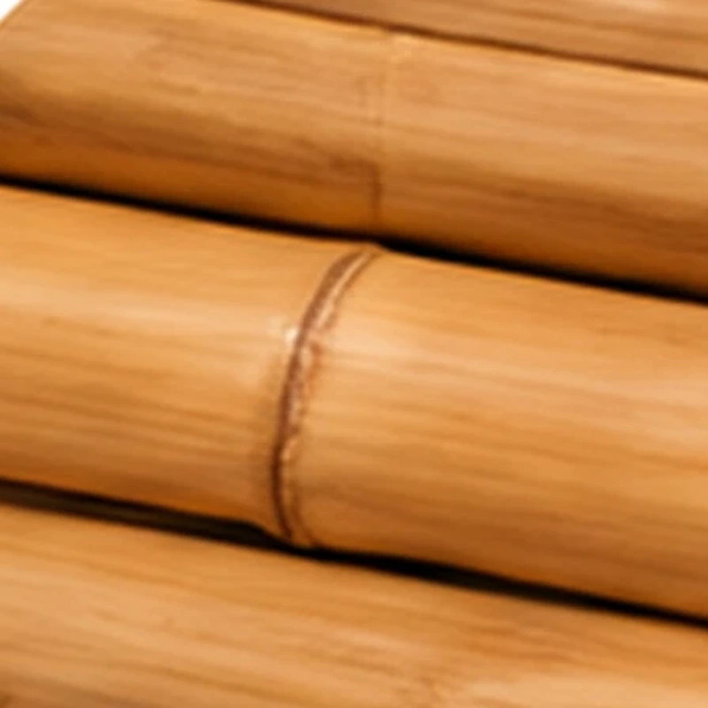 Bamboo